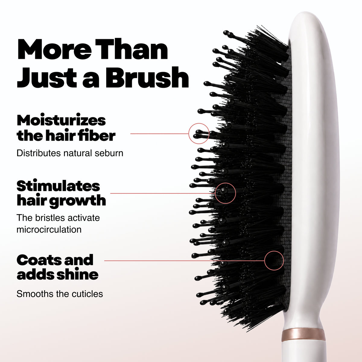 Boar Bristle Brush